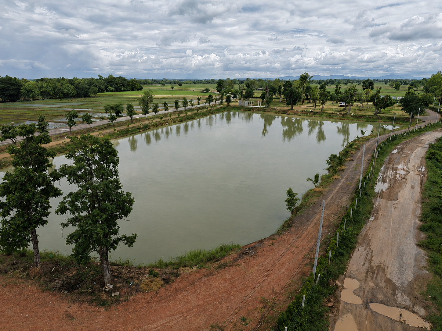 Lakeside fishing area